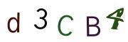 CAPTCHA visuel