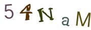CAPTCHA visuel