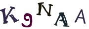 CAPTCHA visuel