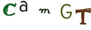 CAPTCHA visuel