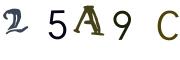 CAPTCHA visuel