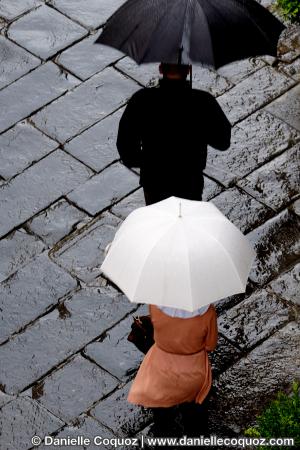 Les parapluies d'Arezzo