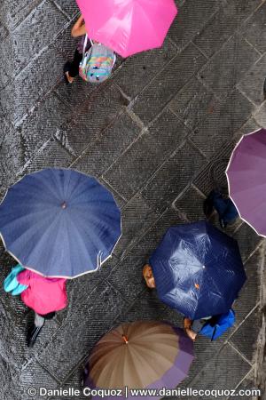 Les parapluies d'Arezzo